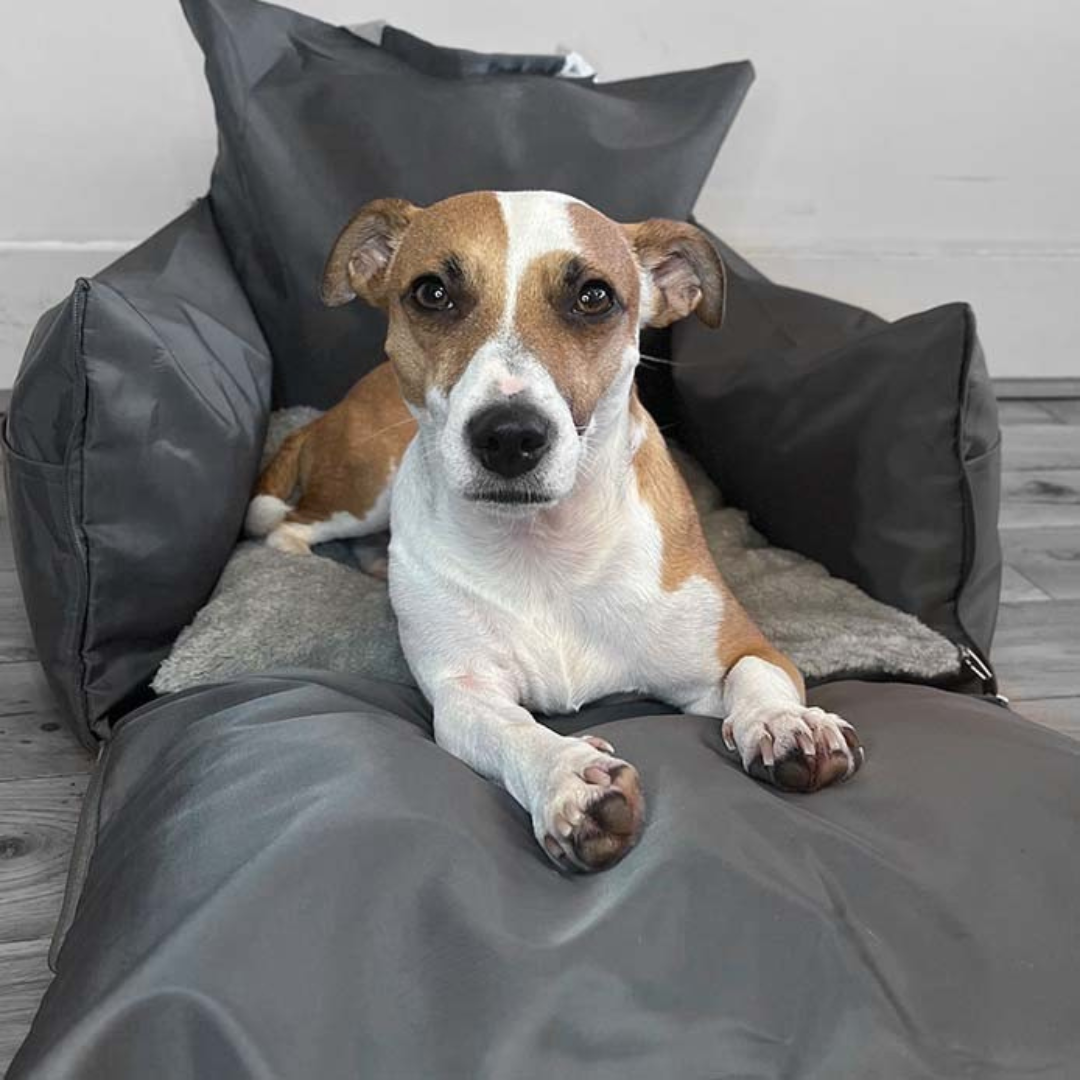 Hundbilstol vattentät resebädd för husdjur Carvallo