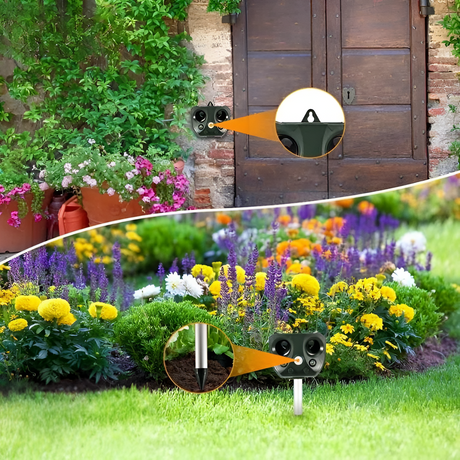 SafeScape - Solcellsdriven ultraljudsenhet för kemikaliefri skadedjursbekämpning Carvallo