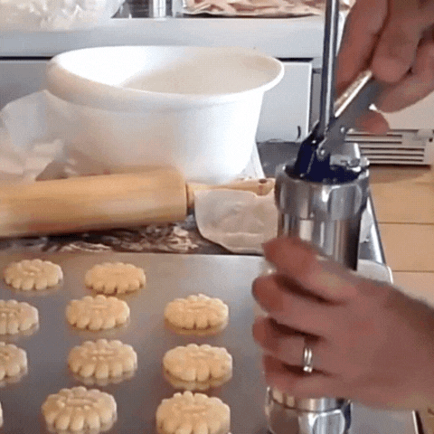 Royallure 25-delars kakpress-set – Aluminium, 20 skivor & 4 munstycken, lätt att använda Carvallo