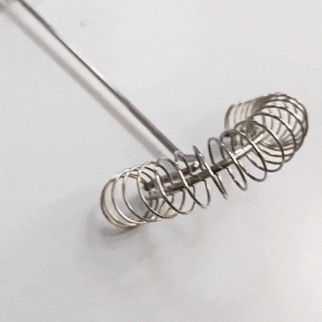 Royallure Rostfritt Stål Vårexpert Mini Vispa Mjölkskummare & Sås Mixer Carvallo