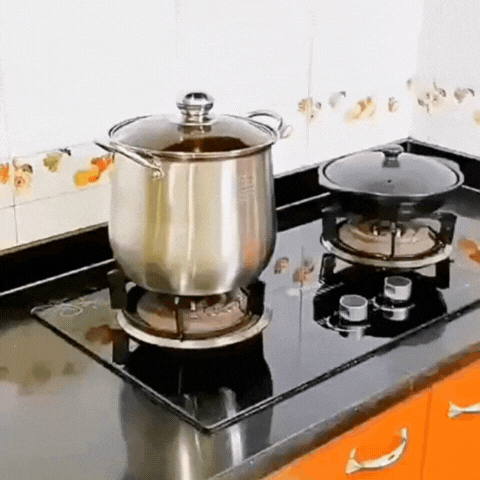 Royallure Stort rostfritt stål grytan för soppor, grytor och vardagsmatlagning Carvallo