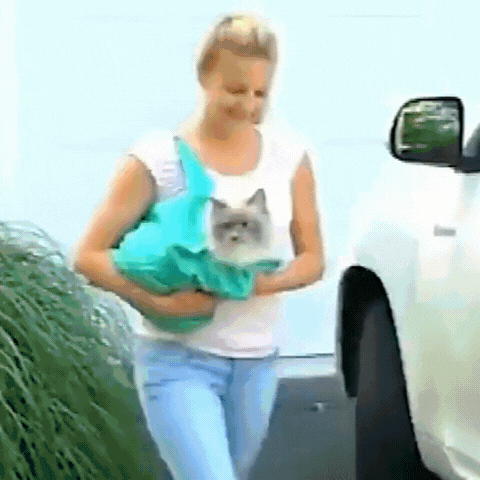 Royallure Mjuk Kattbärväska för Resa – Lätt, Portabel Design med 360° Utsikt och Justerbara Remmar Carvallo