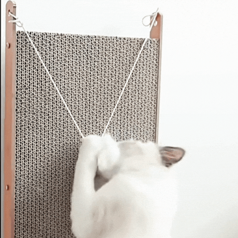 Royallure L-Formad Katt Klösbräda med Lekboll – Multi-Vinkel Avkoppling & Klös Pad Carvallo