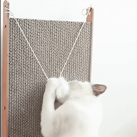 Royallure L-Formad Katt Klösbräda med Lekboll – Multi-Vinkel Avkoppling & Klös Pad Carvallo