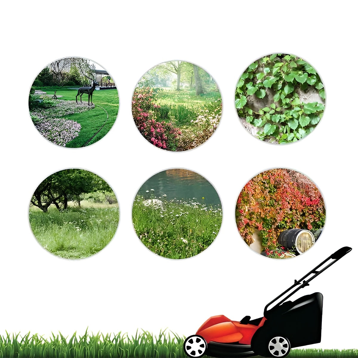 Grästrimmerhuvud med 6 blad – Robust stål för effektiv klippning Carvallo