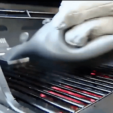 Royallure Steam & Scraper BBQ Grill Cleaner – Stainless Outdoor Steam Brush with Charcoal Scraper Carvallo