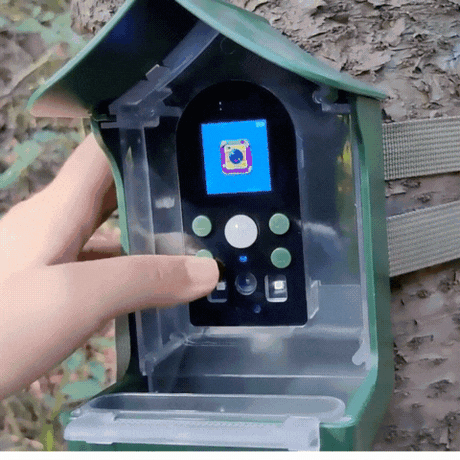 Royallure Smart Fågelmatare med PIR rörelsedetektering och automatisk foto/video inspelning Carvallo