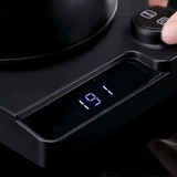 Royallure Elektrisk Gåsnackskanna med Temp Kontroll, Rostfritt Stål Kaffekanna Carvallo