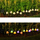 BrightPath Light - 10-delad vattentät sol-LED-svampljus Carvallo