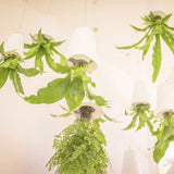 Carvallo Blomkruka SkyBloom | Platsbesparande & Elegant | För Inomhus & Utomhus | Inkl. Upphängning Carvallo