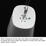 Carvallo Blomkruka SkyBloom | Platsbesparande & Elegant | För Inomhus & Utomhus | Inkl. Upphängning Carvallo