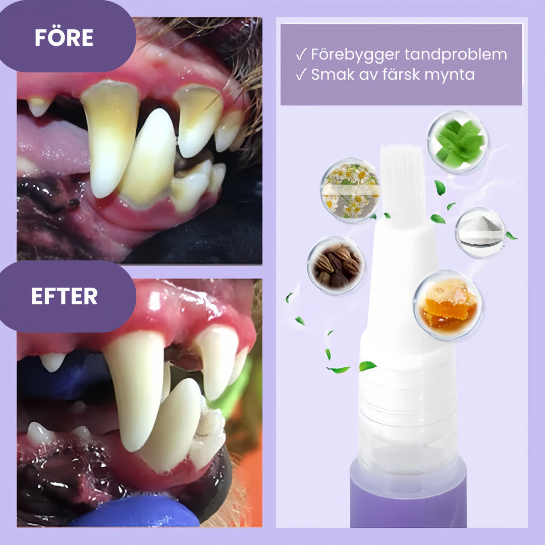 FreshBite® tandpenna för husdjur-Hemnix-Hemnix