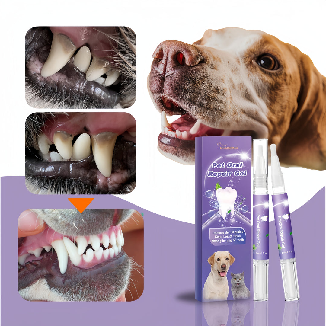 FreshBite® tandpenna för husdjur-Hemnix-Hemnix