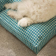 Vaffel Pluche Hundeseng Mjuk Stilig Ultra Mysig Tyg Carvallo