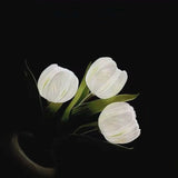 LED Bordslampa Blomkruka Lampa Dekor Carvallo