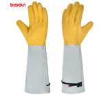 Carvallo FLORAHAND | Torsdag och Andningsaktiv | Långa Rosenhandskar för Damer | 1 Par Carvallo