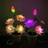 Carvallo Solar Lotuslampa | LED Trädgårdslampa | Solenergi | IP65 Vattentät | Dekorativ Utomhusbelysning Carvallo