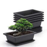 Planter med fat – Rektangulär blomkruka för trädgård och balkong Carvallo