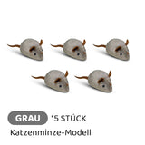 Carvallo | PawChase – Jaga, spela, jaga kul för din katt! Carvallo