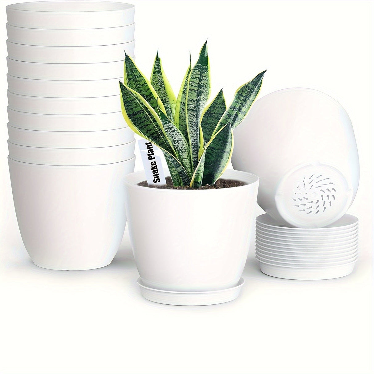 Carvallo-Set FloraCasa | 12-delad med underlägg | För inomhus & utomhus | Väderbeständig plast Carvallo