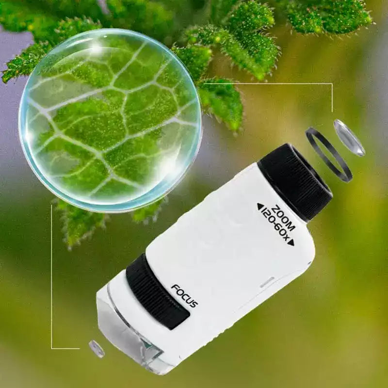 Carvallo – Stora upptäckter i fickformat. Carvallo