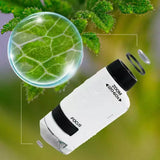 Carvallo – Stora upptäckter i fickformat. Carvallo