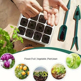 Carvallo Indoor Odling Set | Med LED Växtljus & Justerbart Fukt skydd | 36-Cells Såstation | Inkl. Tillbehör Carvallo