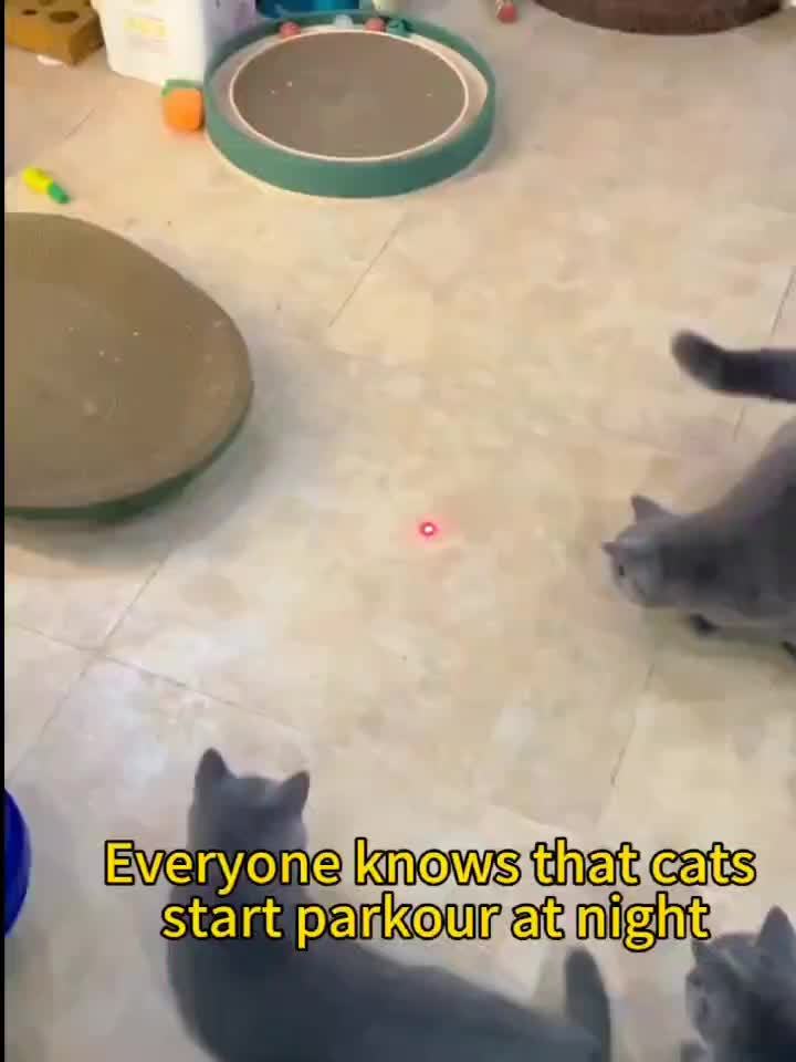 Katt Laser Leksak Uppladdningsbar Interaktiv Husdjur Teaser Carvallo