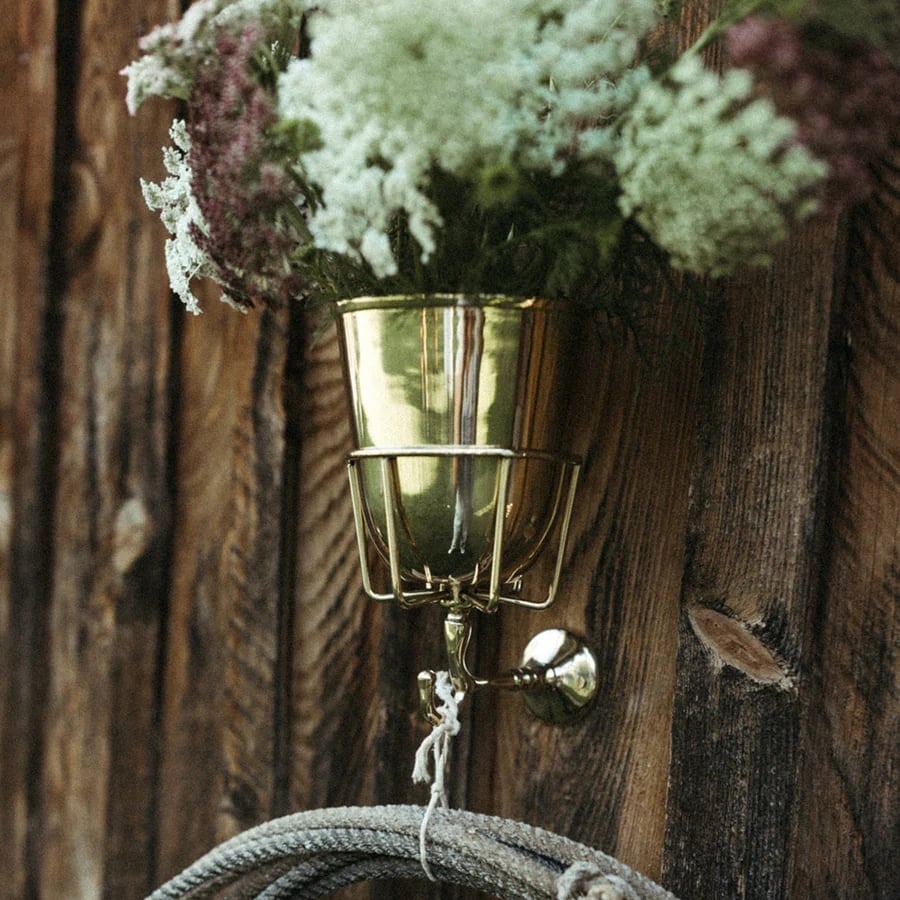 Carvallo – Vackert förvarad. Stiligt presenterad. Carvallo