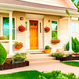 GroveScape - Dekorativt trä utomhus trädgårdsavgränsning gräns Carvallo