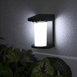 Carvallo tvättlina | Utsträckbar upp till 4,2 m | Montering utan borr | Rostfritt stål – Platsbesparande & Robust Carvallo