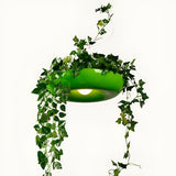 SkyGlow Light - Nordic Blomkruka Hänglampa Carvallo