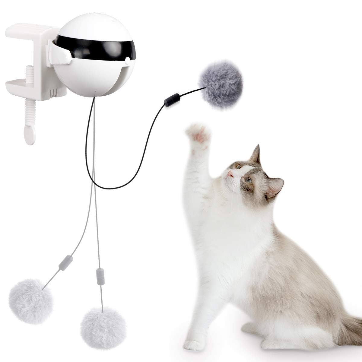 Carvallo - Automatiskt katt leksak boll Carvallo