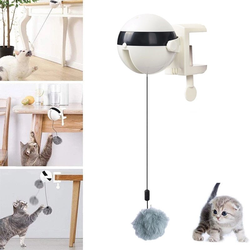 Carvallo - Automatiskt katt leksak boll Carvallo