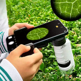 Carvallo – Stora upptäckter i fickformat. Carvallo