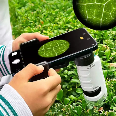 Carvallo – Stora upptäckter i fickformat. Carvallo