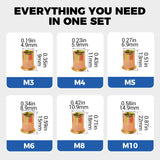 Carvallo - Platt huvud gängad mutter nitar mutter uppsättning Carvallo