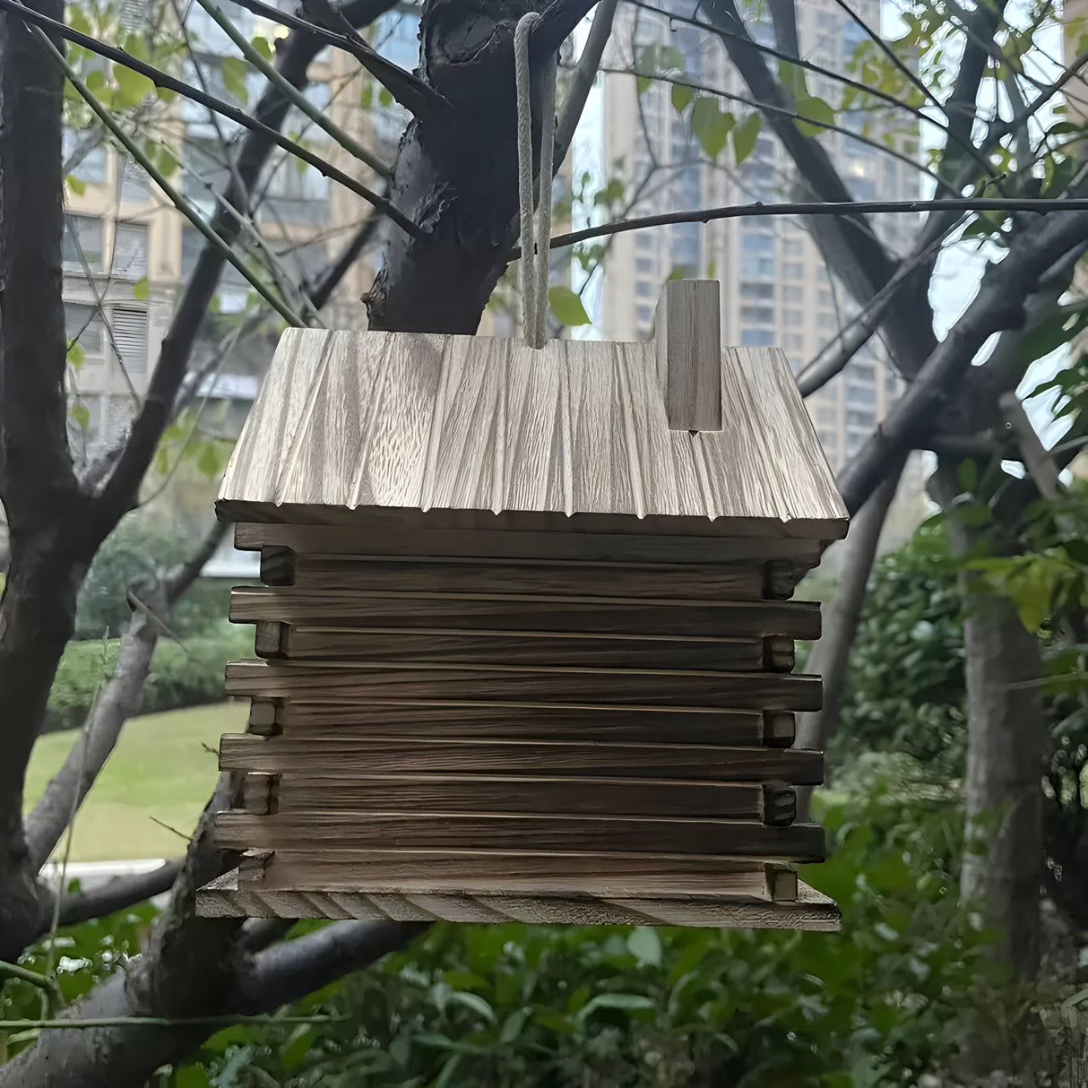 HollowHaven Nest - Rustikala trädfågelhus Carvallo