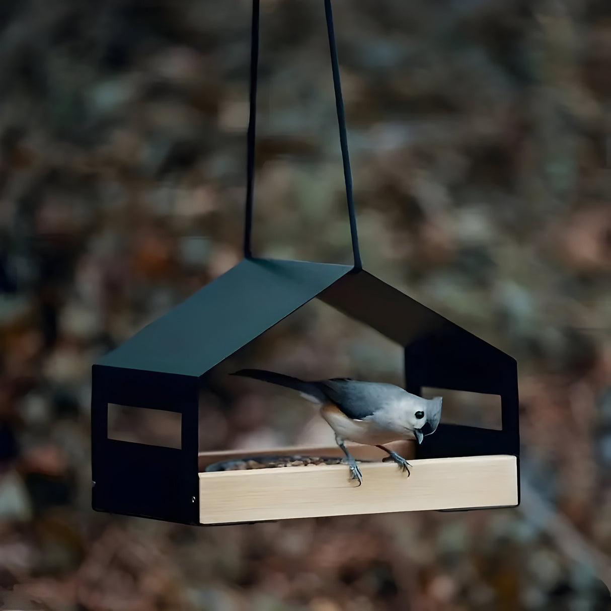 TweetWood Bo | Elegant Hängande Fågelhus Carvallo