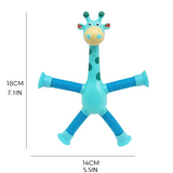 Carvallo – Timslångt spelande utan tristess Carvallo