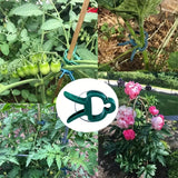 Trädgårdsclips-set – Växtöglor för växtstöd och trädgårdsskötsel Carvallo