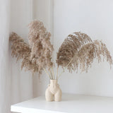 Keramisk Kropp Vasen | Skulptural Accent för Torra Blommor | Matt Finish | Kompakt 5,5" Uttalande Stycke Carvallo