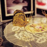 Elegant insektsdekor för stilfull inredning av hemmet Carvallo