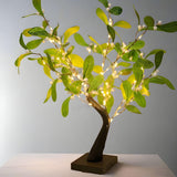 GinkgoShimmer Lights - Ginkgo blad LED julgranljus Carvallo