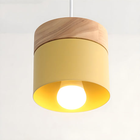Loft Style Macaron Pendant Light Carvallo