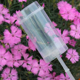 Carvallo - Tårtkärl Cupcakes Push Up (50 stycken) Carvallo