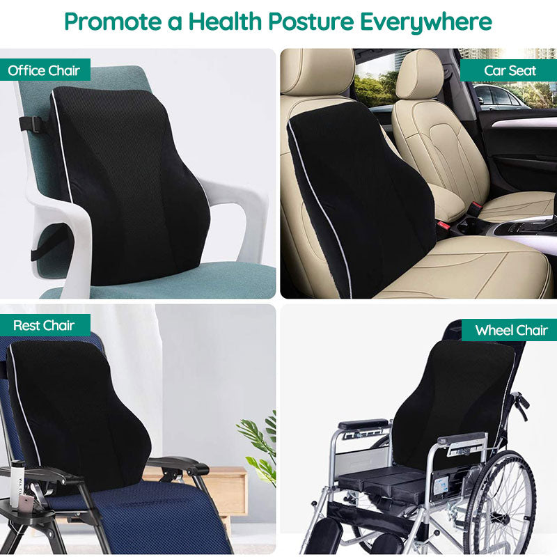 Ergonomisk ländryggsstödskudde Carvallo