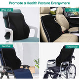 Ergonomisk ländryggsstödskudde Carvallo