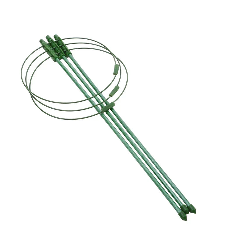 Klatram för växter – Stabil stödjeringram för klätterväxter Carvallo