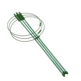 Klatram för växter – Stabil stödjeringram för klätterväxter Carvallo